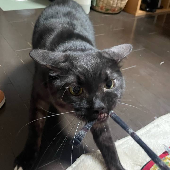 E2e722ff f366 4899 9988 01f745c05f42 1765945095882