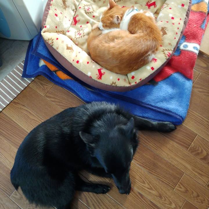 E2e748ca 4231 4ffb 9975 2d1fdc1bbfb9 1622542957315