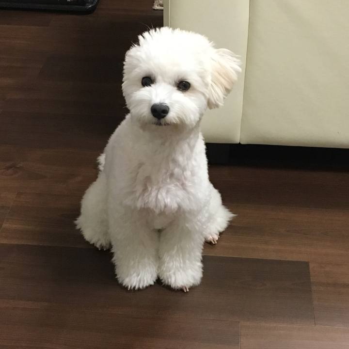 E2e77aa6 564e 4c04 be70 6625bdfdfd8c 1538047866696