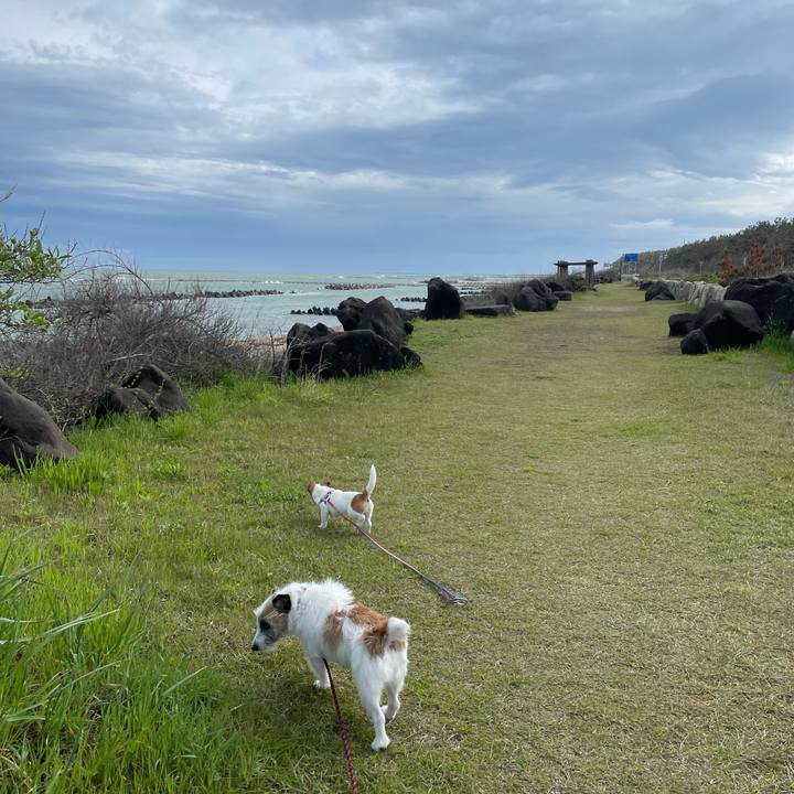 E2e7bb78 d06a 420c b97c 9849577097ad 1619915512136