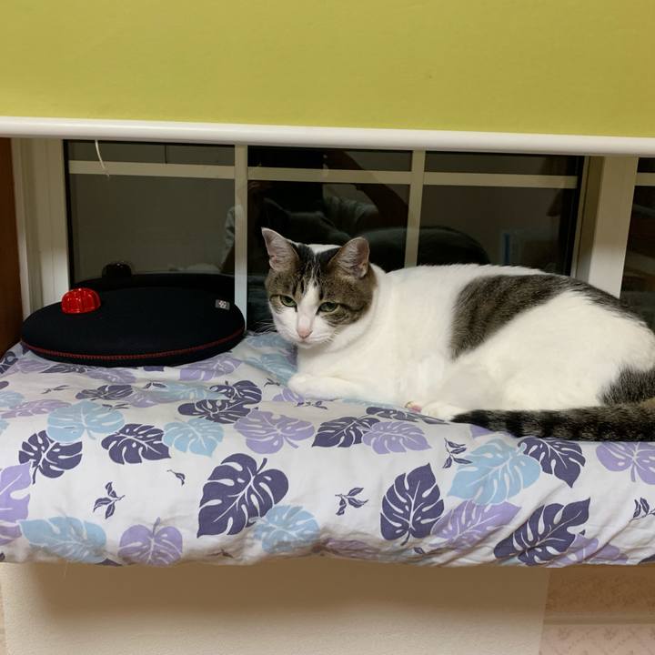 E2e7c30b 8b6b 433b b0ed 7dd336f80646 1635085682902