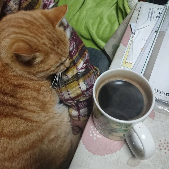 E2e7dcd9 7e6e 4ce3 a205 edfabc7c5074 1583093357356