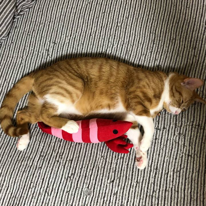 E2e830b7 2981 407d 9c44 124d17664818 1560774490357