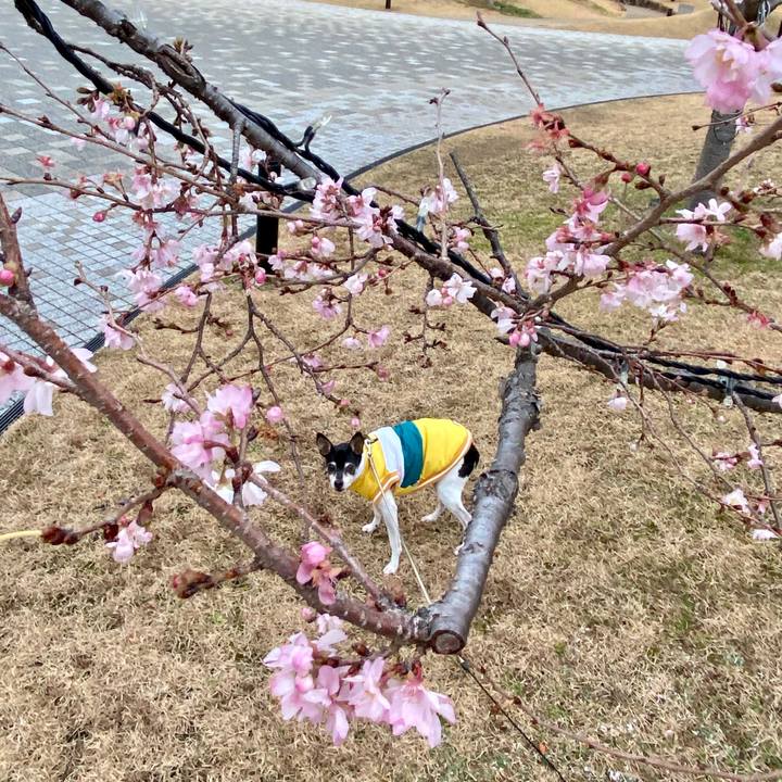 E2e87152 0f57 4e54 956f df67b65bf6c2 1577923132296