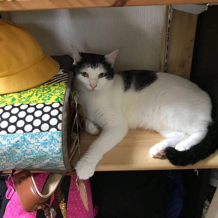 E2e878ff 1b39 4c71 a116 26f405b80daa 1537489301698