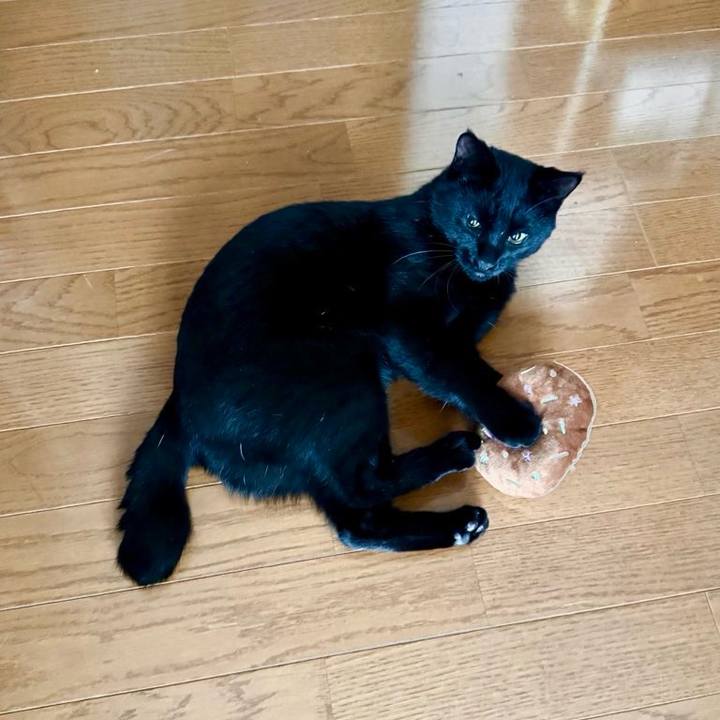 E2e87c9b ee48 4ccd 910e 7c209642d806 1736725540348