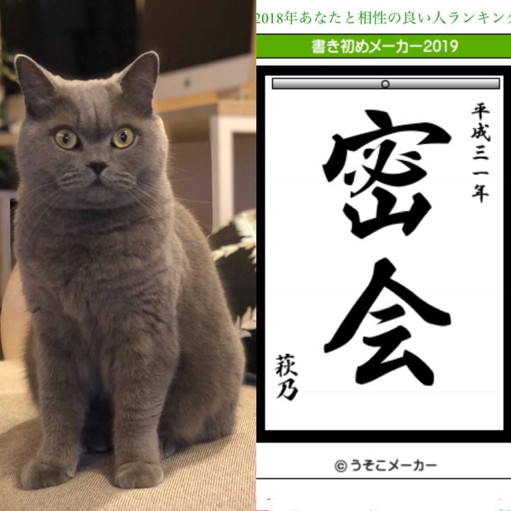 E2e89ea7 1453 46f7 b285 10743193ee42 1546507610234