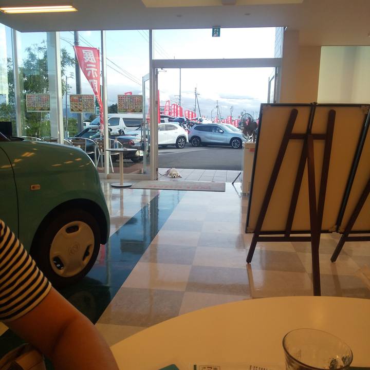 E2e905c5 4f40 4671 8865 4e85327ab9be 1632018250921