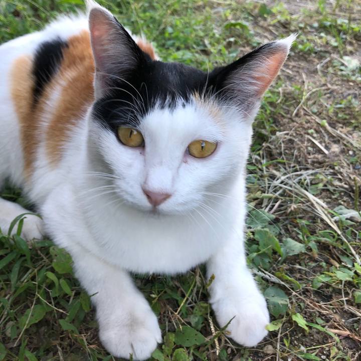 E2e9697f 53f9 4753 928d de6aecd6c99d 1600587540265