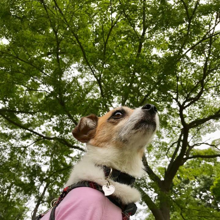 E2e9c741 2165 4555 b6c6 8bdbd828dc97 1559031003927