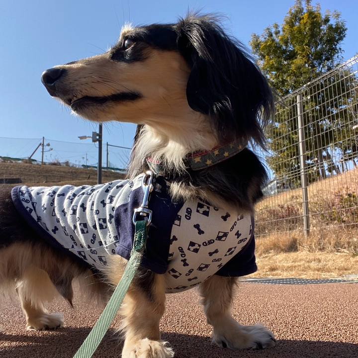 E2e9d06b 0e24 4eaf a02e f59fd73d7b5b 1771127748404