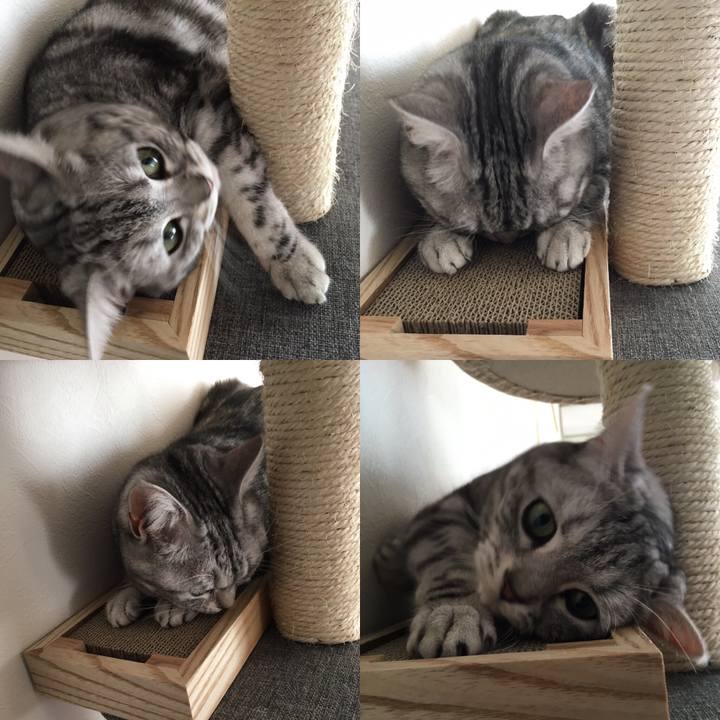 E2e9dc79 6674 43ac 8bfd 9dd7f66bbba6 1508676167258