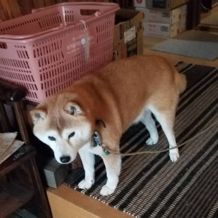 E2e9ed44 eee1 40f5 b9ea fe531d20bd98 1708576082015