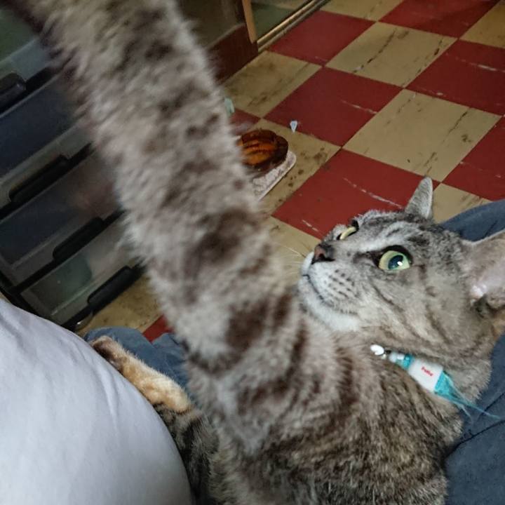 E2ea17c3 926d 431c ba8d a08ad7398fac 1559128718899