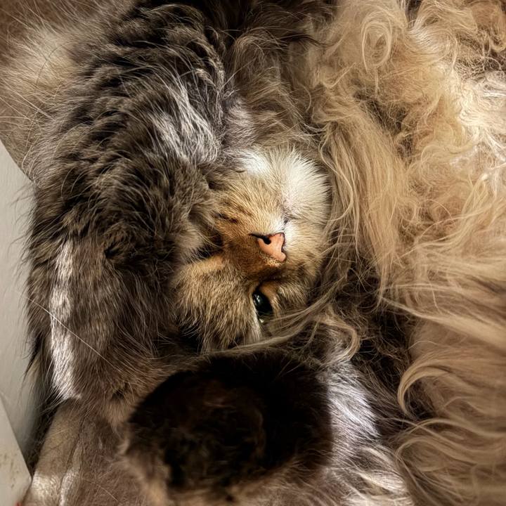 E2ea26df 4c7c 4bfd 87b1 49f16c87054c 1771250739670