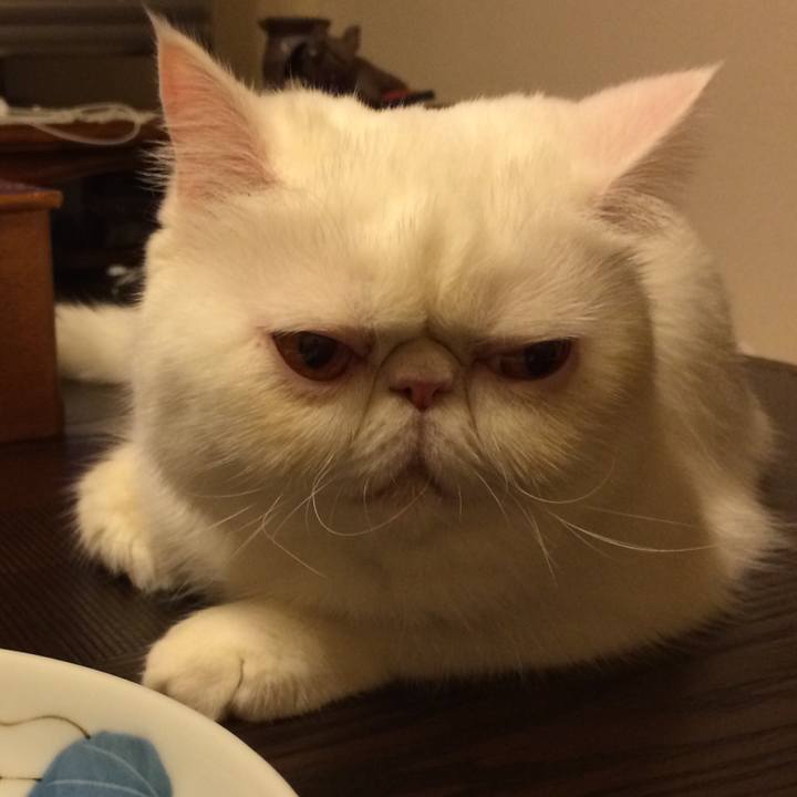 E2ea3017 5ddd 48e1 86bd 5dc39b5f0eb4 1550832873531