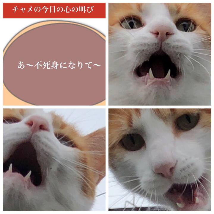 E2ea3bde 9835 4ef8 8a8d 5698a7696f04 1539243090437