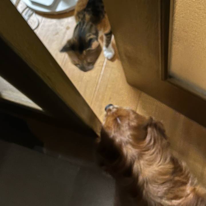 E2ea4fcd 064d 413e a2a6 5267207c505a 1694130510911