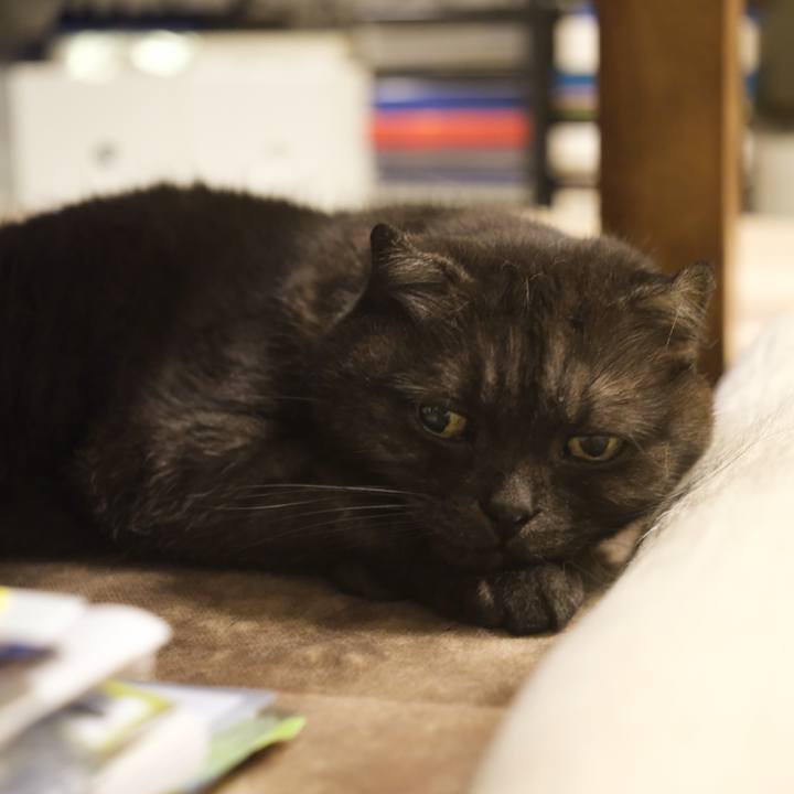 E2ea5a04 49da 4351 b44f d1ba254e5c19 1625758511154