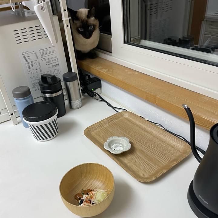 E2ea5d24 c26a 486e a674 b0231a5cf87d 1733344803487