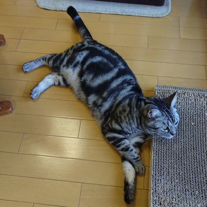 E2ea62da 4c3e 48bb 8750 086905a6a07d 1546388938132