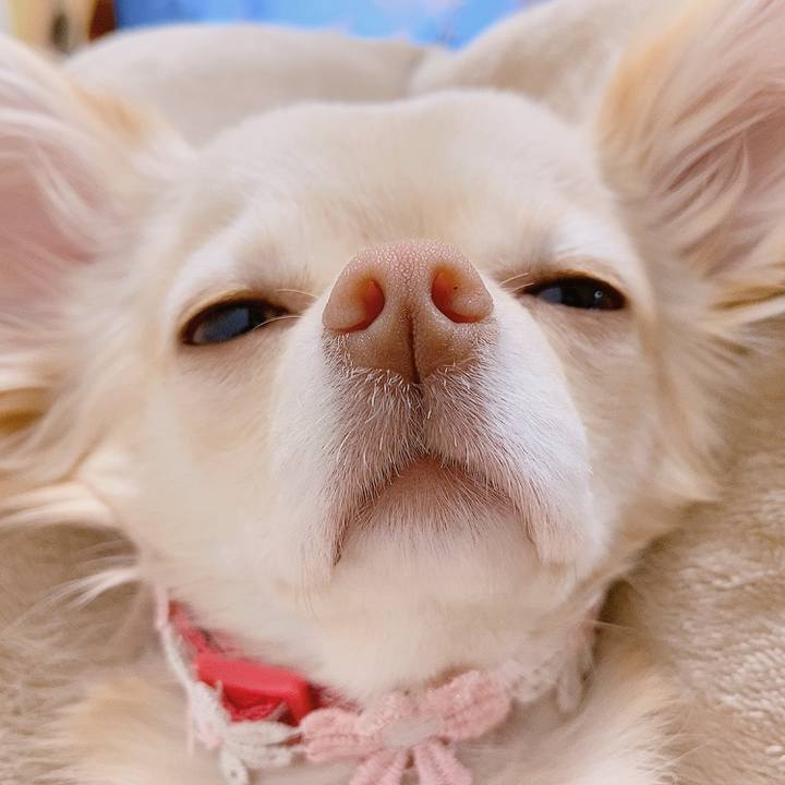 E2ea6bc8 9836 46e8 81a0 6118ab2ebe24 1618657843972