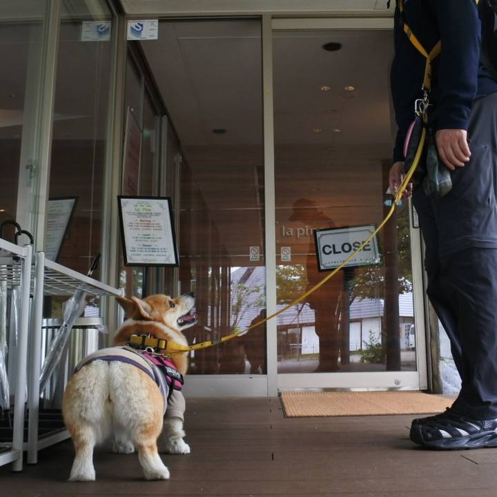 E2ea6d88 0c74 4b44 aad8 008bbc05ae3a 1685110718588