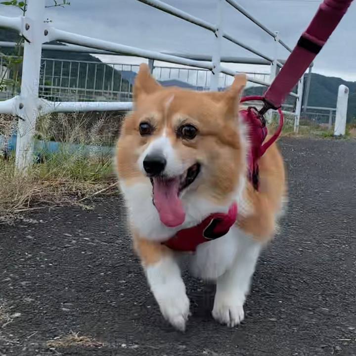 E2eac0a4 d38e 4919 9310 07ea58e1b532 1664933325286