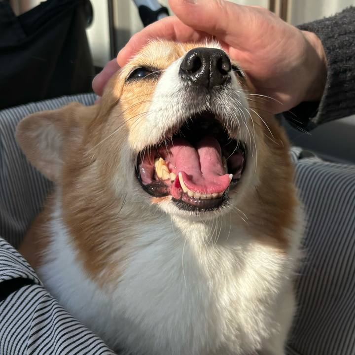 E2eaccf2 d58e 4b14 9963 92640c6631ec 1736827928043