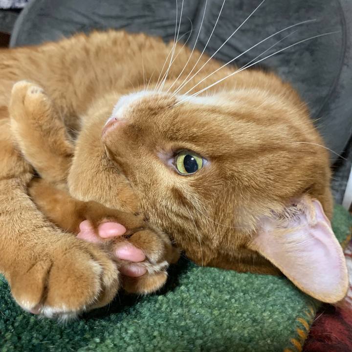 E2eaeb73 27a6 410f a959 562502b3f4af 1566633624202