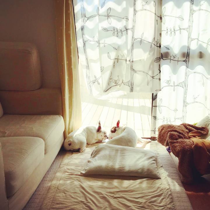 E2eb1da8 7a72 4f6d 945c fa4ed412a7b7 1526949283062