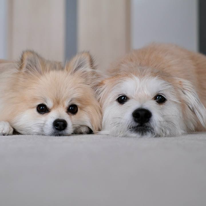 E2eb38ef 9796 4292 b2f4 1d9c8f621eb6 1763850138758