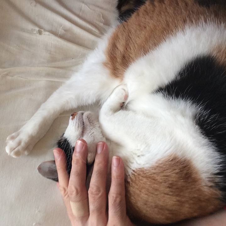 E2eb395b f276 4764 bfb3 79a28b82d135 1592017711451