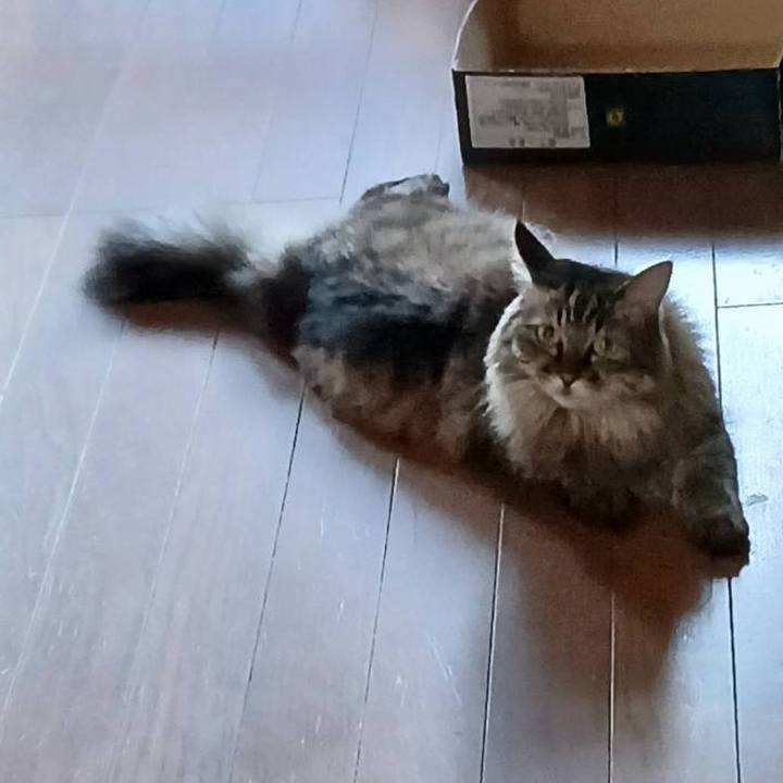 E2eb477e a800 4880 a1da 7704fb6d99ea 1755940077796