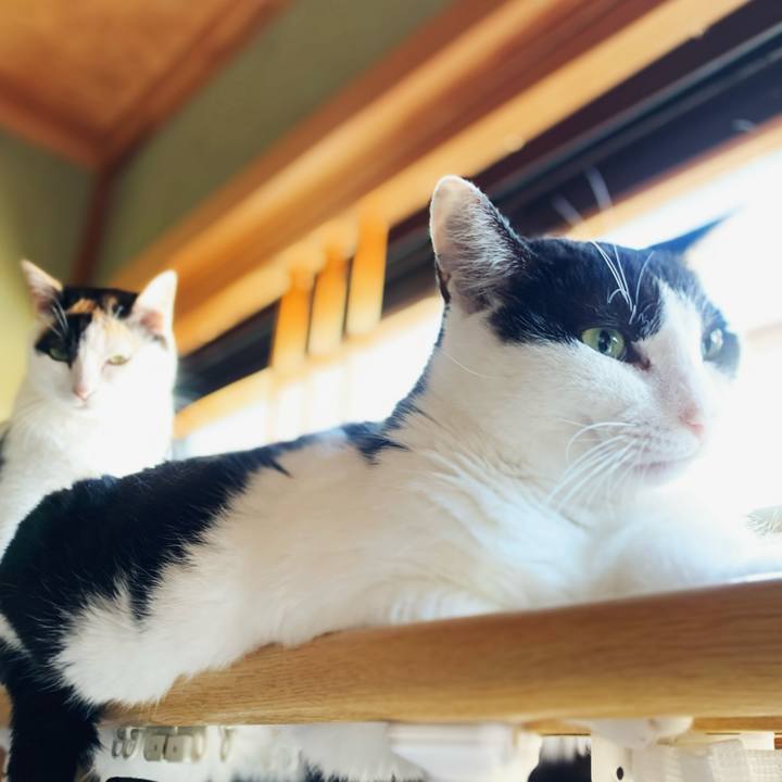 E2ebc8c7 d12c 476f 8200 d7acb89ef2c3 1599012916271