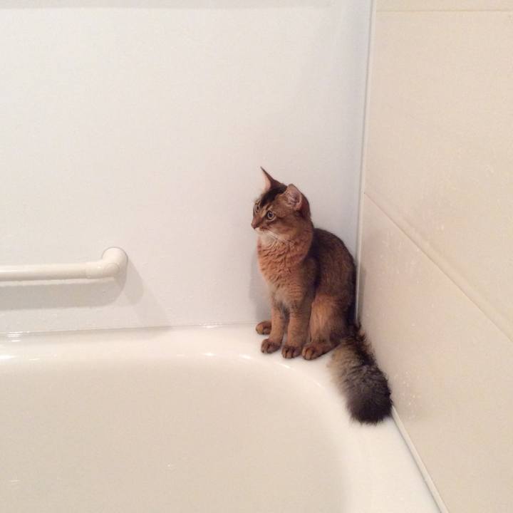 E2ec3be8 dabc 429a 9b2e 049c763476fb 1566912597022