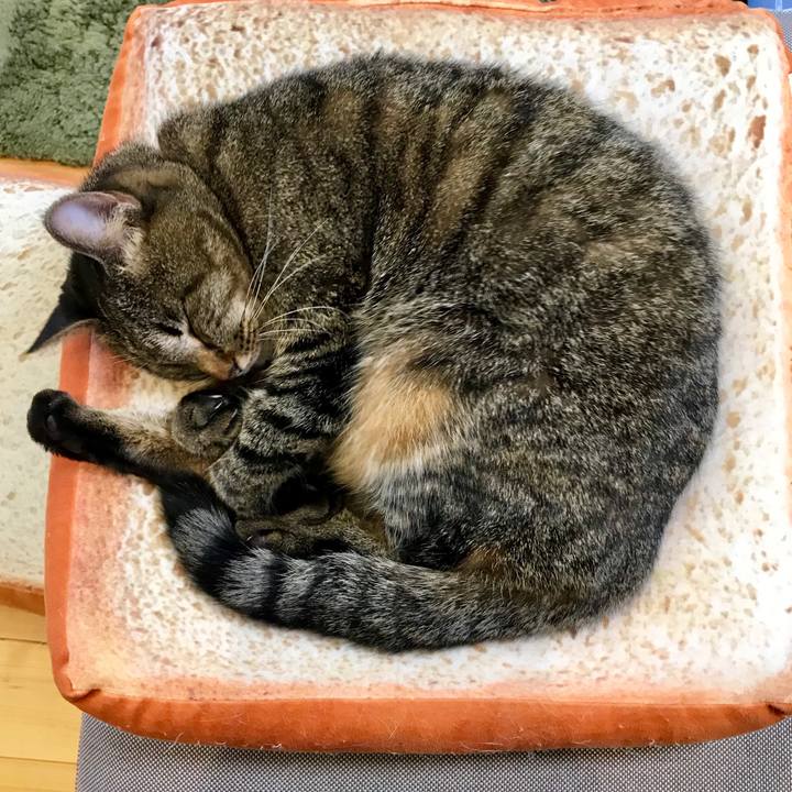 E2ec454f dec1 47ae aafc a3e0be28b9b4 1547167365913