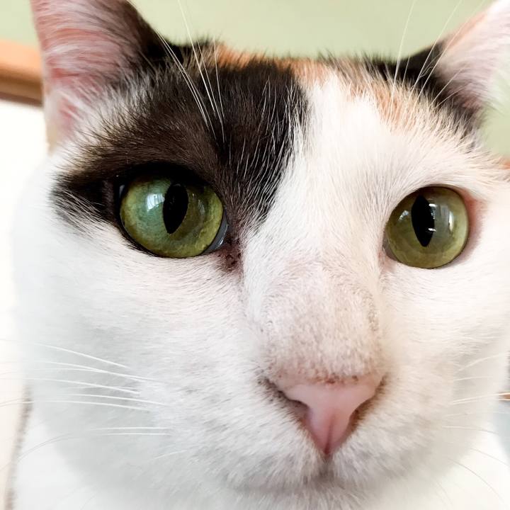 E2ec4682 792b 4cd3 b338 6862e48c8df3 1532391847127