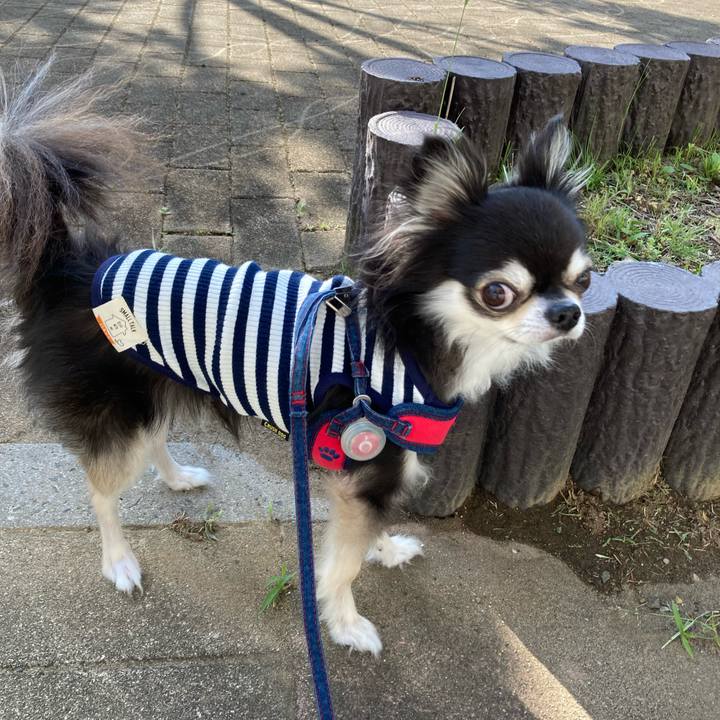 E2ec7011 c849 4f42 8ac6 da7ace098fe5 1715441451125