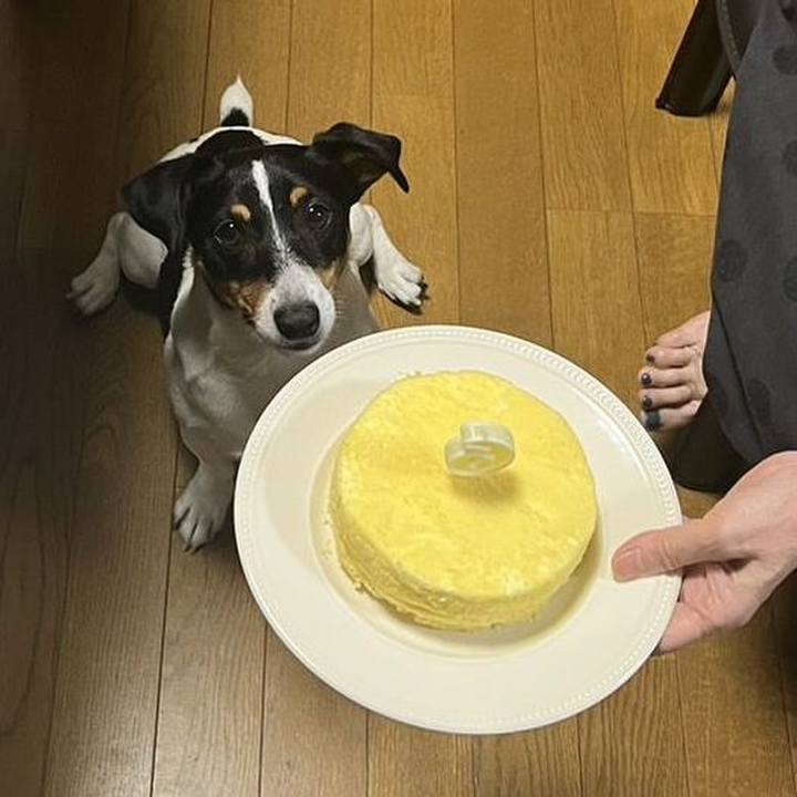 E2ec9b1b 8a83 4d46 975d 2f3993fed215 1692532672928