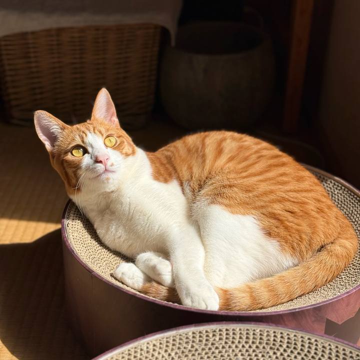 E2ecafe8 bfea 4483 bad2 a5d88ab79dc8 1773035961742