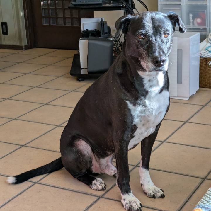 E2ecca11 fdbe 4795 b4e2 d702e8120334 1733051638383