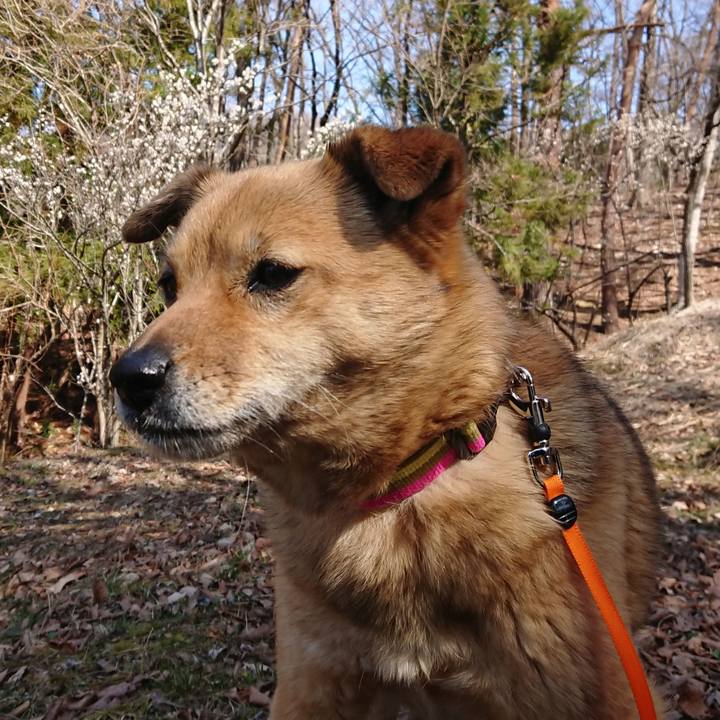 E2eccb5d 9eb3 47bb ae1d 778cc3c485d8 1615455427656