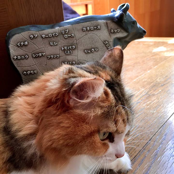 E2eceb78 af32 4701 b889 317d556a68e4 1573187825167