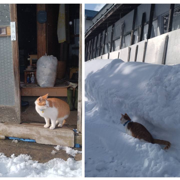 E2ed0e14 6d38 4e53 8271 31526ebd340c 1739955566335