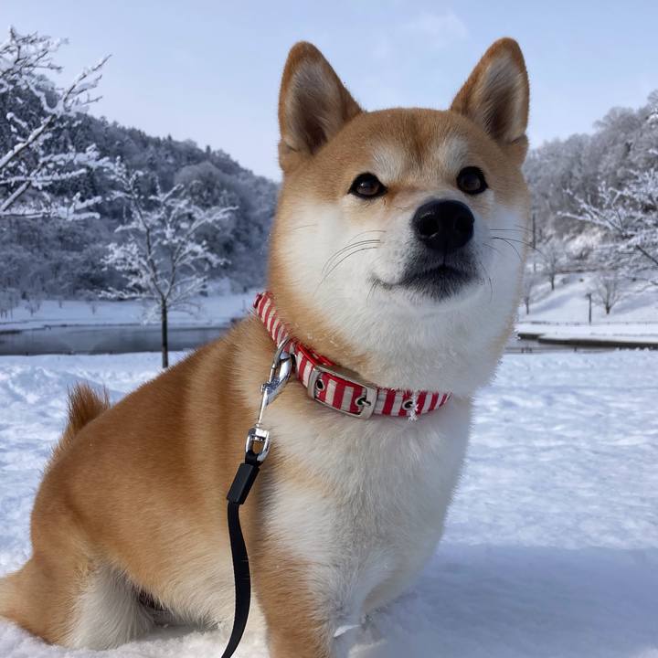 E2ed2044 146a 4fb6 b349 7f6a65672de1 1645245840196