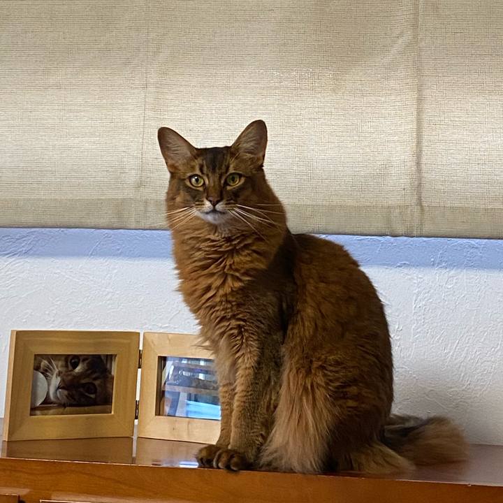 E2ed2e86 ee6b 47e6 81ef bbc92b649d60 1666249411929