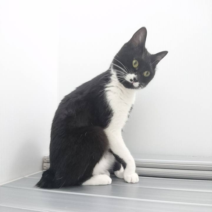 E2ed47dd d486 4a06 9b9f aa391cce14c4 1533217750960