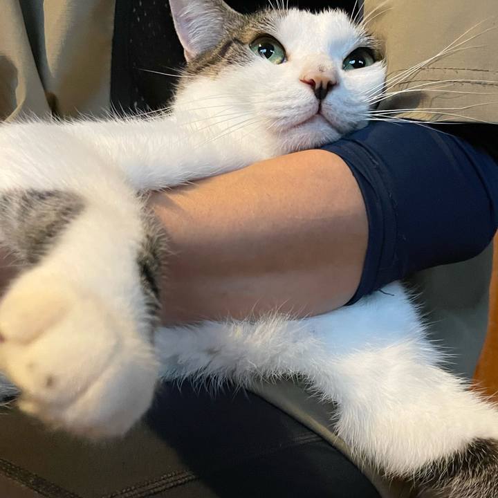 E2eda2e1 a46d 42bf a188 524c8a752f21 1772745144773