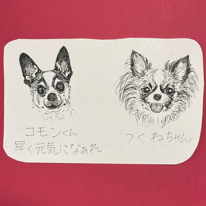 E2edb936 62b3 4fc8 9d6a 9eb26351fa4d 1618805022278